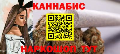 индика Новодвинск