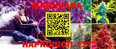 шишки Новокубанск