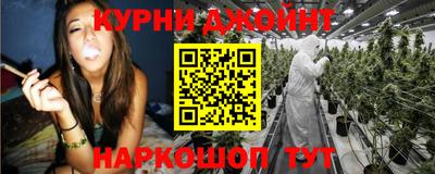 индика Новодвинск