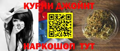 a pvp Новозыбков