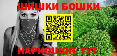 a pvp Новозыбков