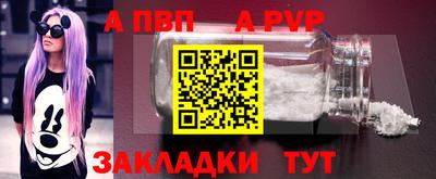 a pvp Новозыбков
