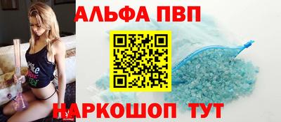 a pvp Новозыбков