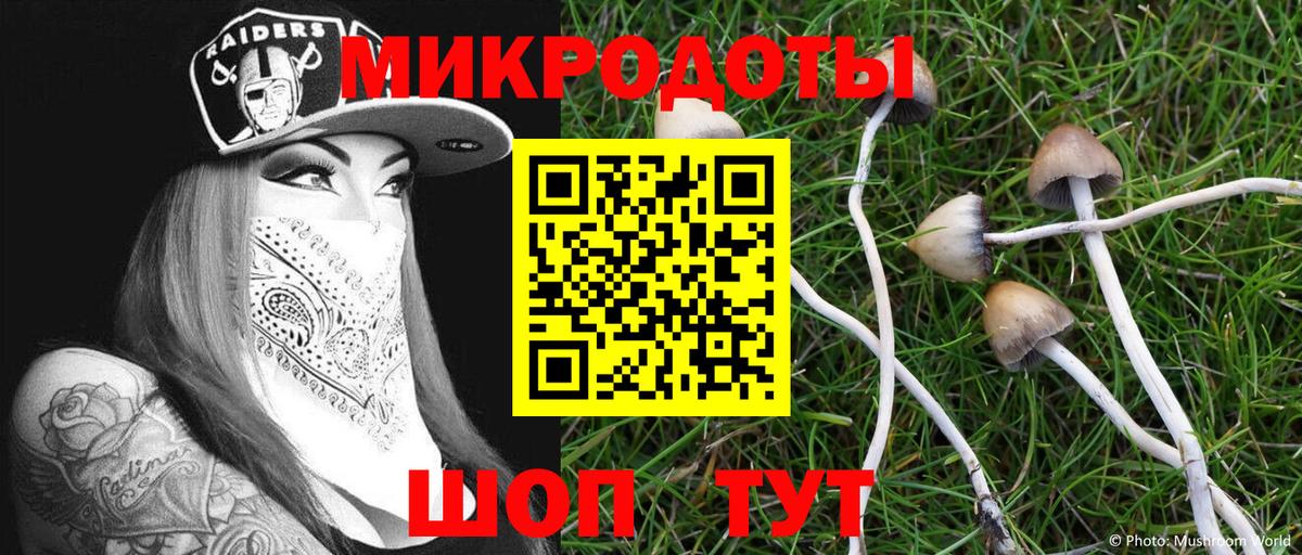 Псков  Псилоцибиновые грибы MAGIC MUSHROOMS  Вход с VPN  Галлюциногенные грибы мухоморы 