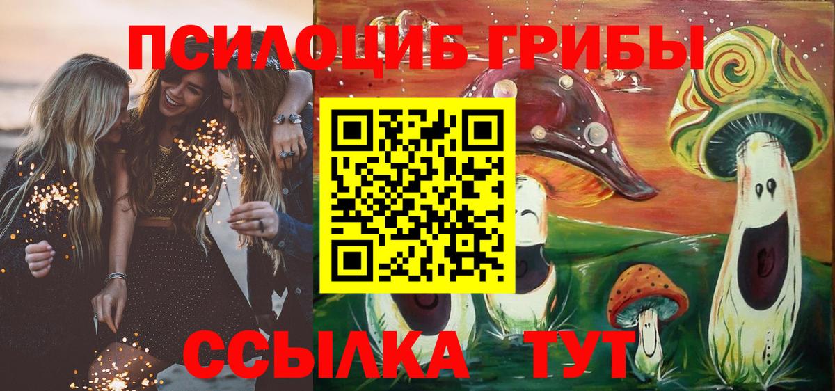 Галлюциногенные грибы мицелий Псков